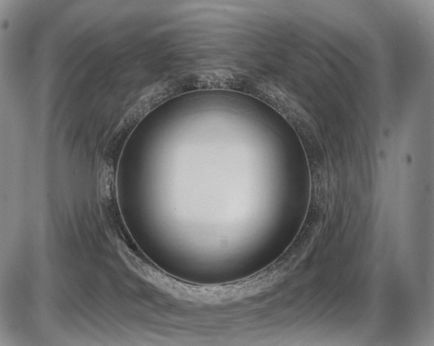 X0000087530038200704271218