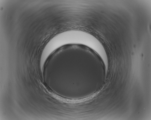 X0000087530039200704271218