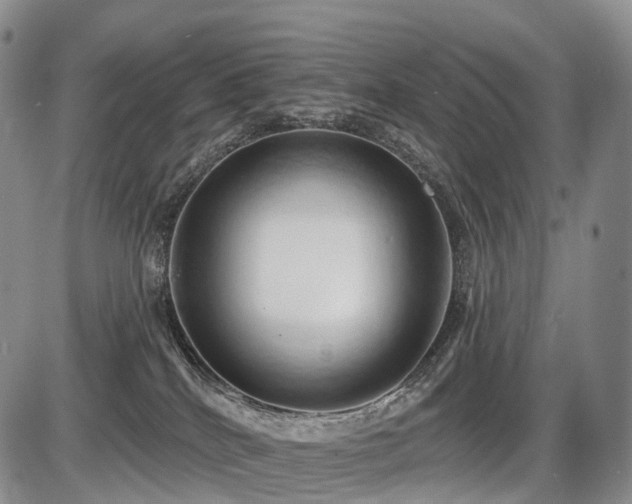 X0000087530040200704271218