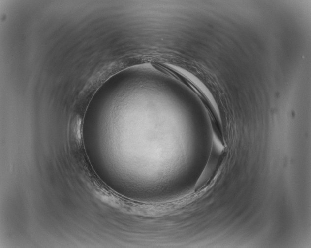 X0000087530041200704271218