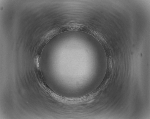 X0000087530042200704271218