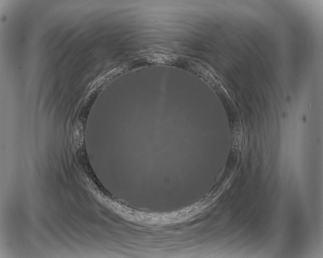 X0000087530043200704271218