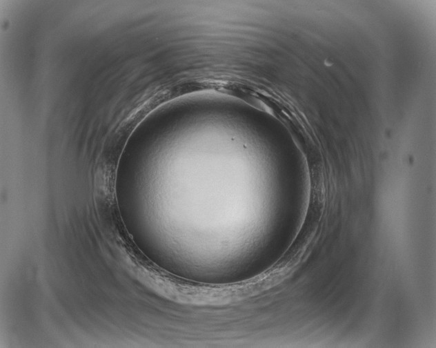 X0000087530044200704271218
