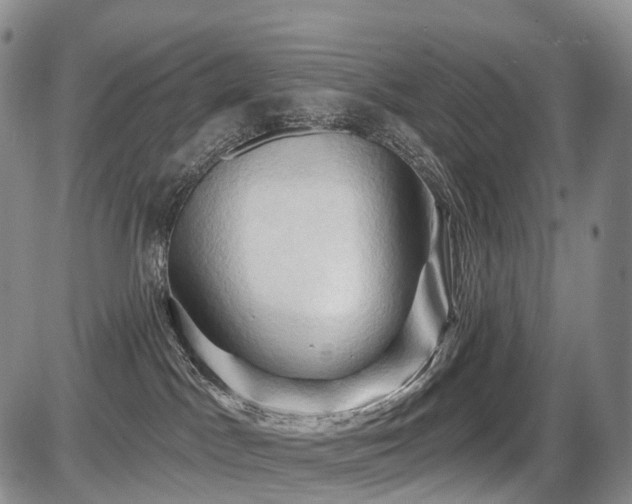X0000087530045200704271218
