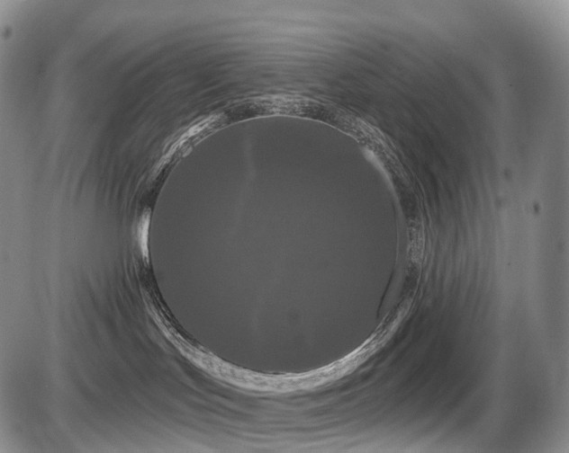 X0000087530047200704271218