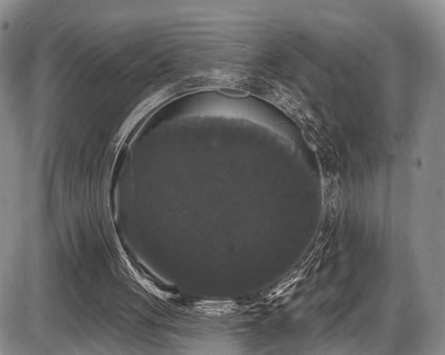 X0000087530051200704271217