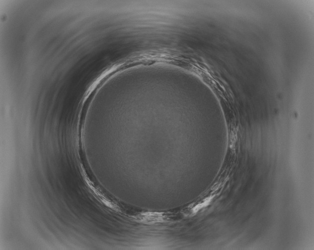 X0000087530052200704271217