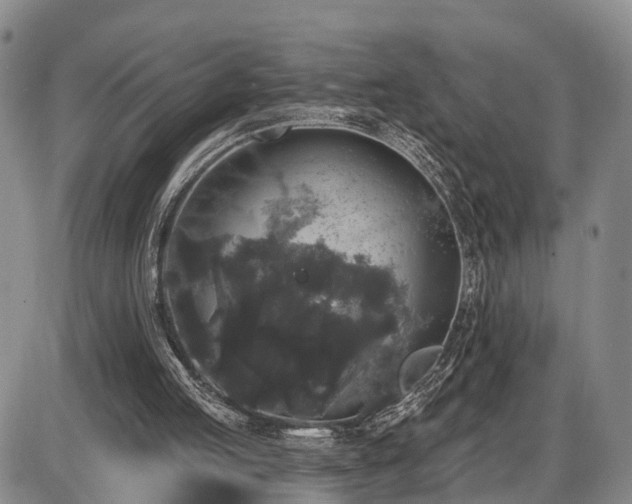 X0000087530053200704271217