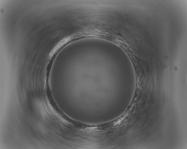 X0000087530054200704271217