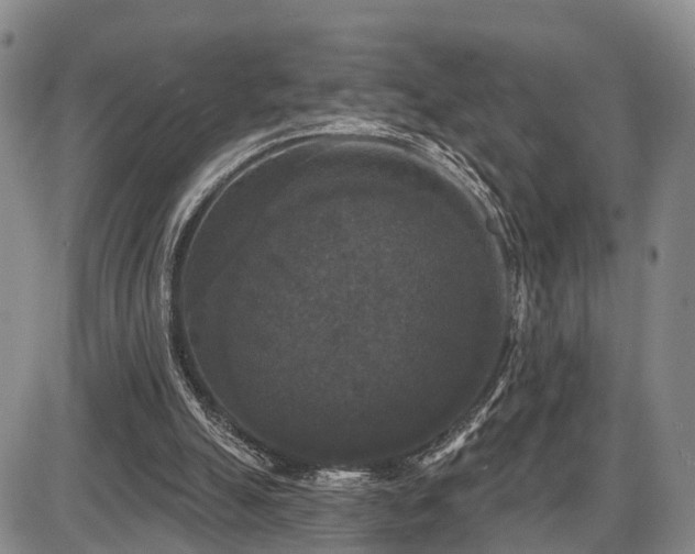 X0000087530055200704271217