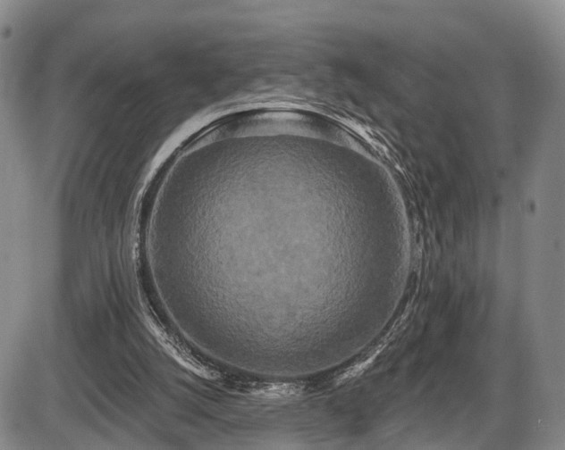 X0000087530056200704271217
