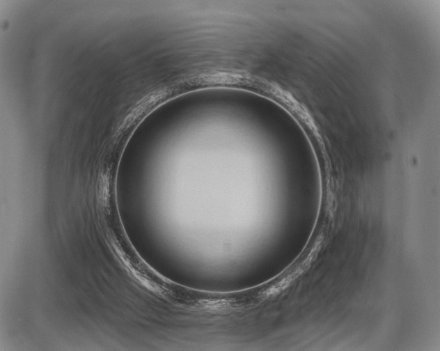 X0000087530057200704271217