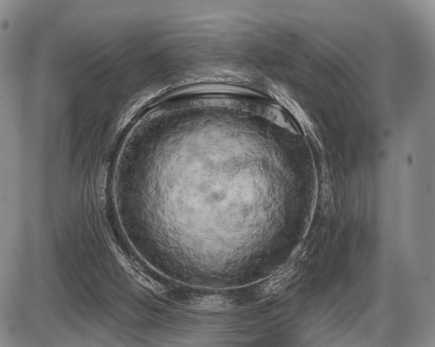 X0000087530058200704271217