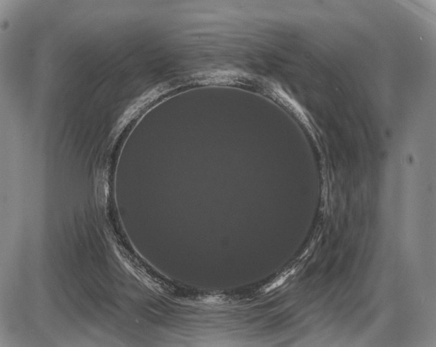 X0000087530059200704271217