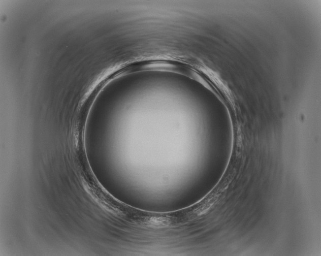 X0000087530060200704271217