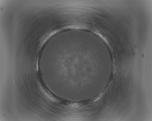 X0000087530062200704271217
