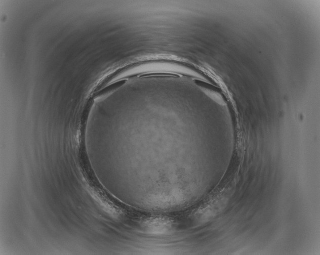 X0000087530063200704271217