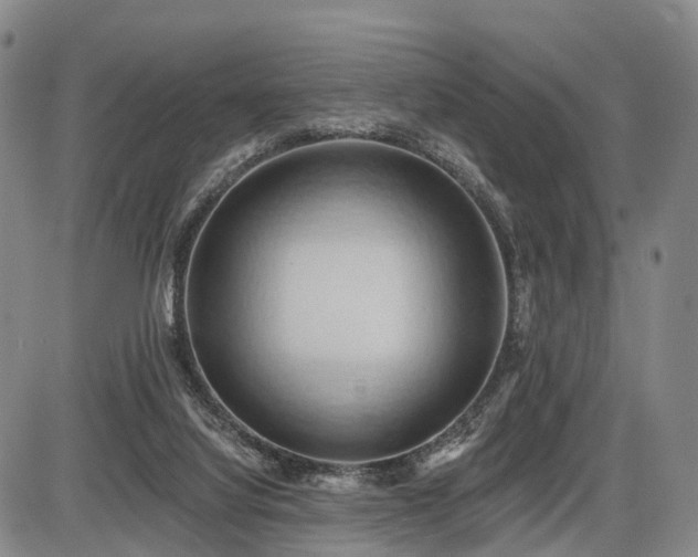 X0000087530068200704271217