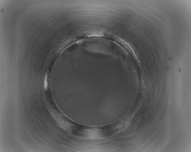 X0000087530069200704271217