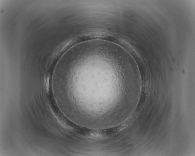 X0000087530070200704271217