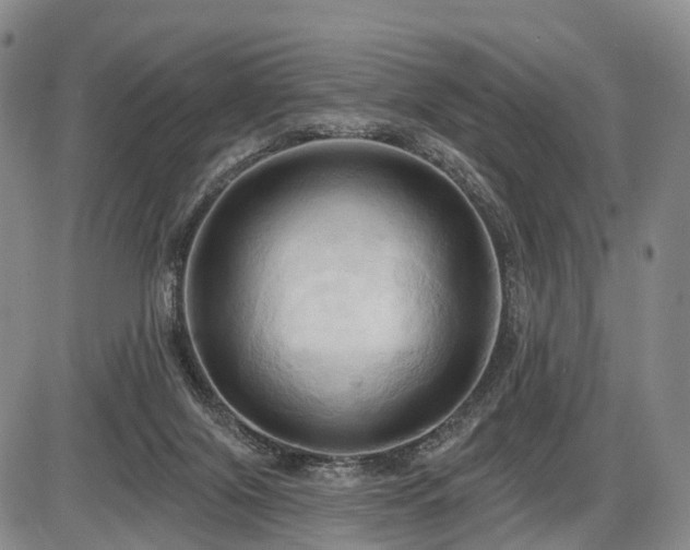 X0000087530071200704271217