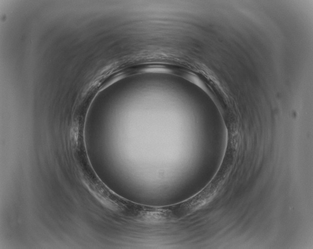 X0000087530072200704271217