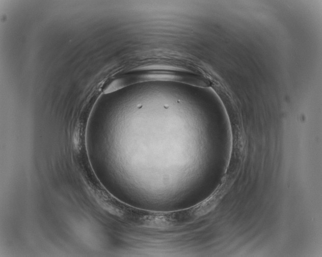 X0000087530074200704271217