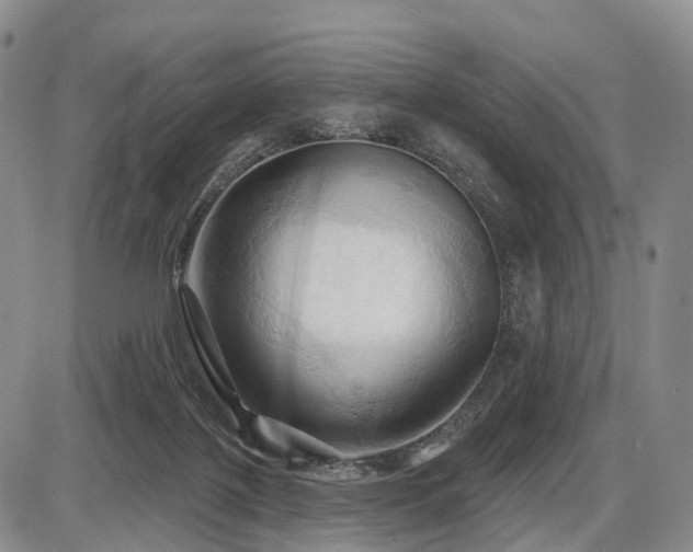 X0000087530075200704271217