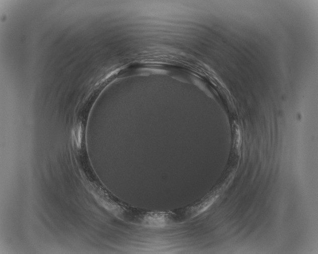 X0000087530076200704271217