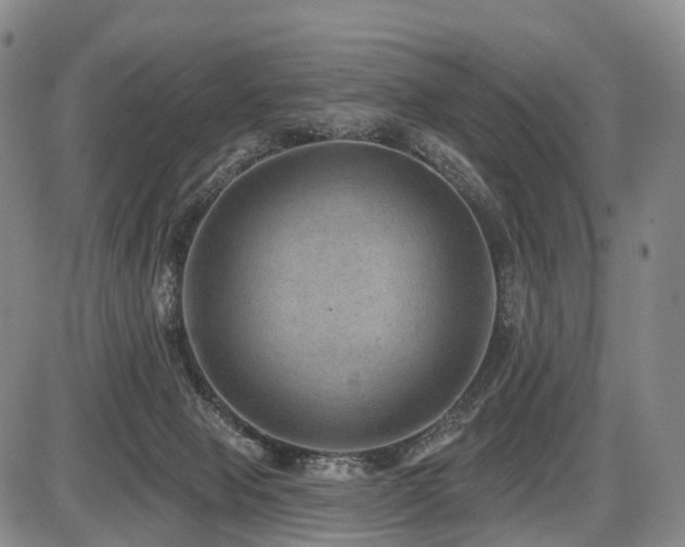 X0000087530077200704271217