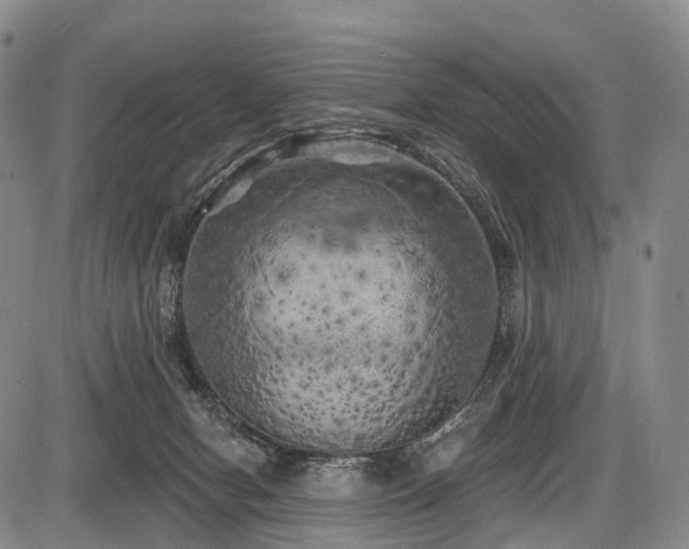 X0000087530078200704271217