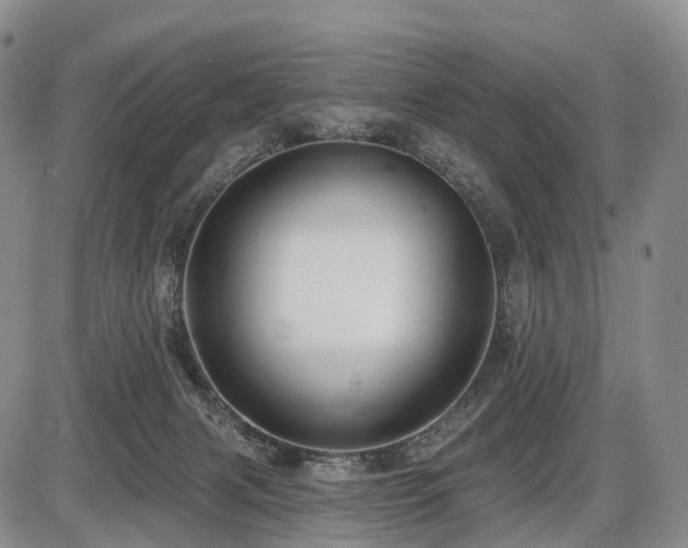 X0000087530079200704271217