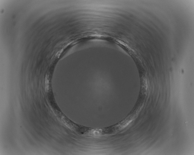 X0000087530080200704271217