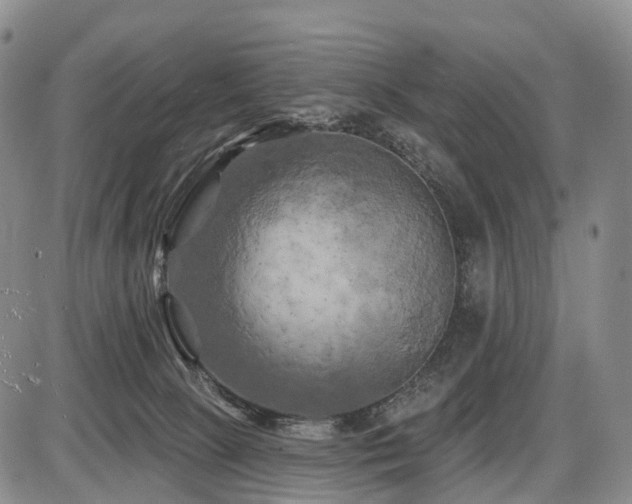 X0000087530081200704271217