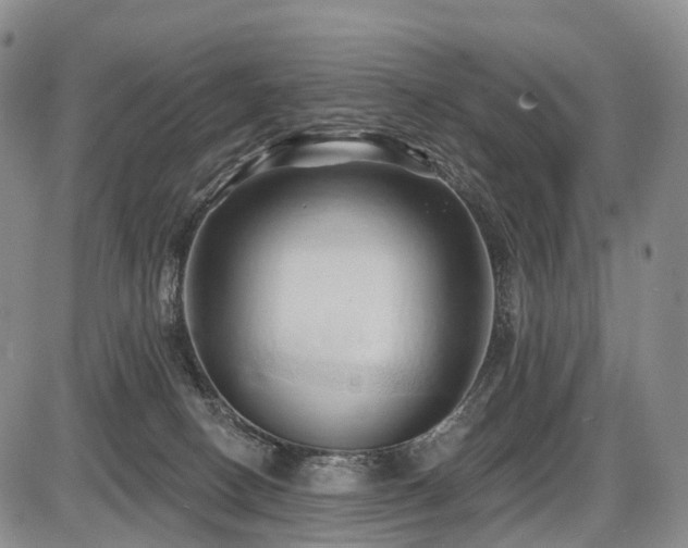 X0000087530082200704271217