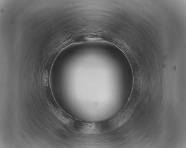X0000087530083200704271217