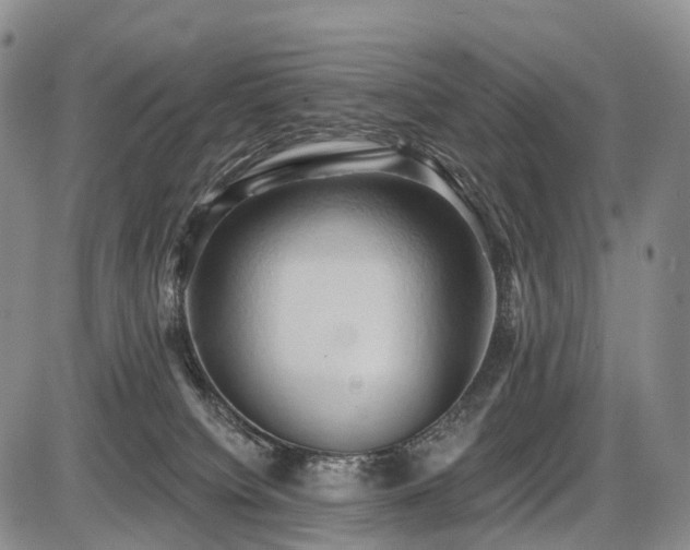 X0000087530084200704271217