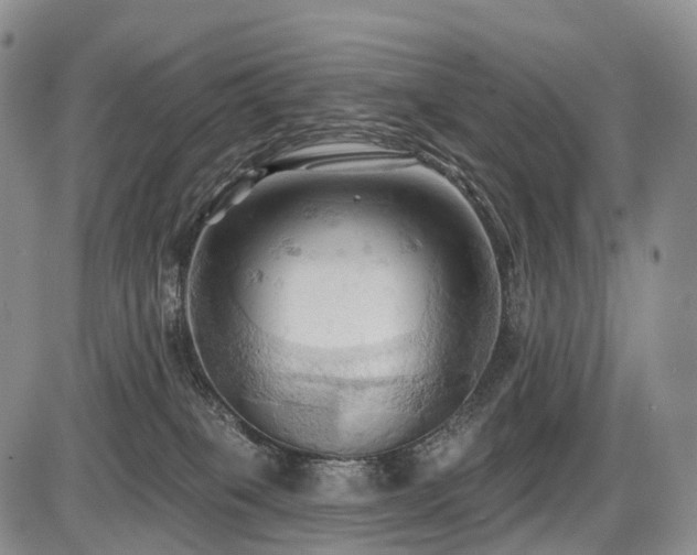 X0000087530085200704271217