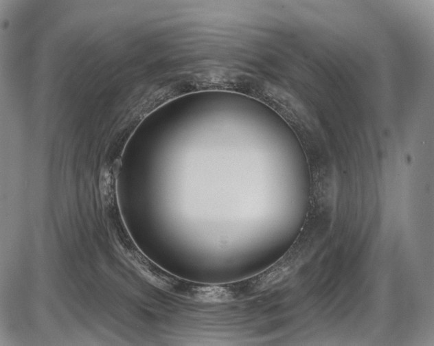 X0000087530087200704271218