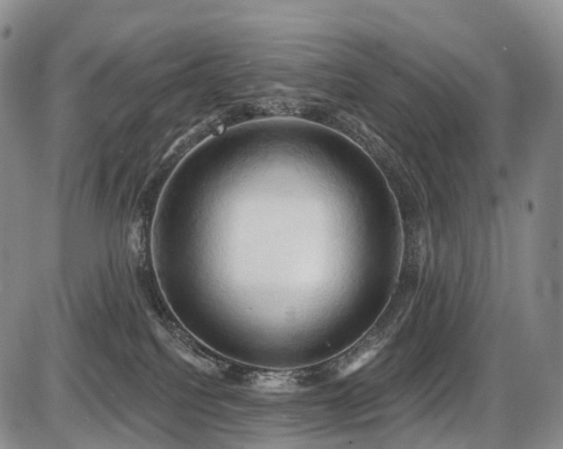 X0000087530088200704271218