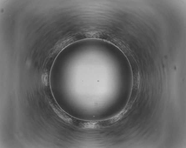 X0000087530090200704271218