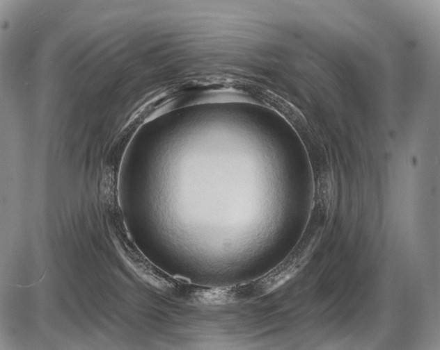 X0000087530092200704271218