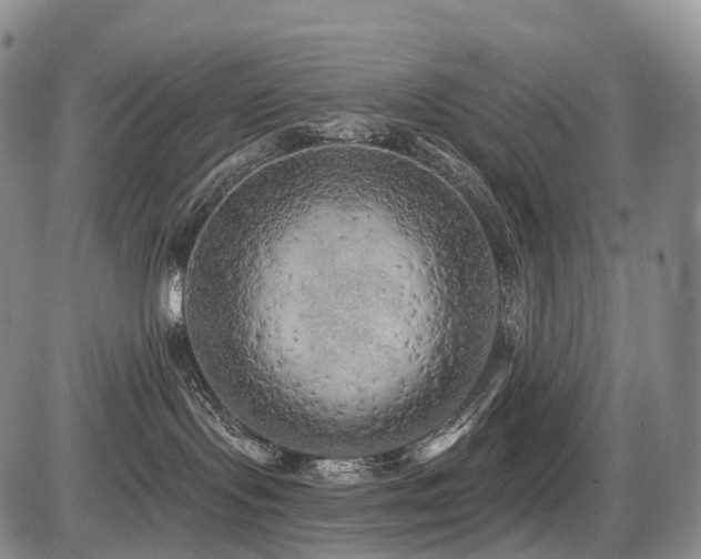 X0000087530095200704271218