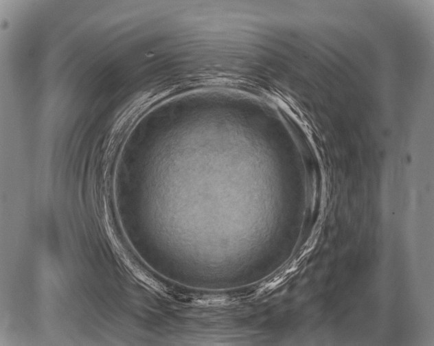 X0000087530097200704271217