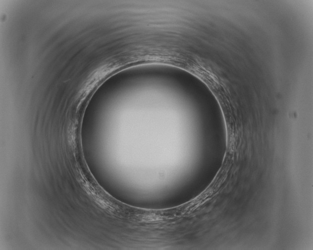 X0000087530098200704271217