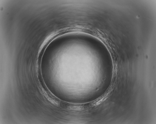 X0000087530102200704271217