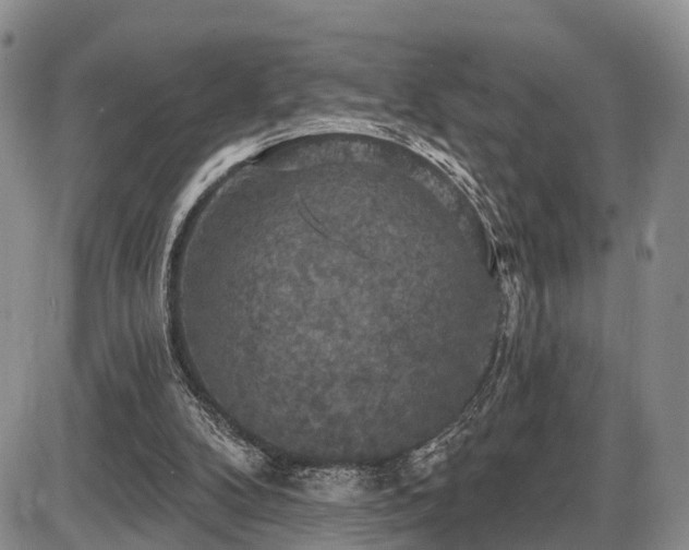 X0000087530104200704271217