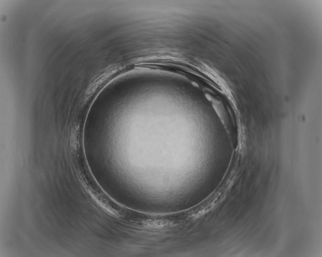 X0000087530105200704271217