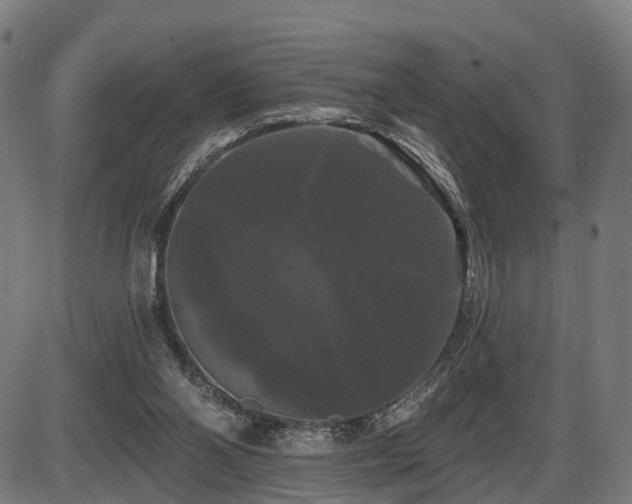 X0000087530110200704271217