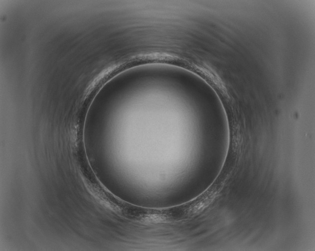 X0000087530111200704271217